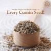 Pride of India | Cumin Seed Whole 1.8 oz (51.02 gm) Small Dual Sifter Jar | Gourmet Indian Spice | Adds Excellent Flavor