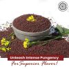 Pride of India | Black Mustard Seed 12 oz (340 gm) Medium Dual Sifter Bottle | Gourmet & Vegan Indian Spice | Pungent/Spicy Flavor | Dry Seasoning | G